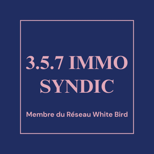 Logo 357 IMMO SYNDIC x WB