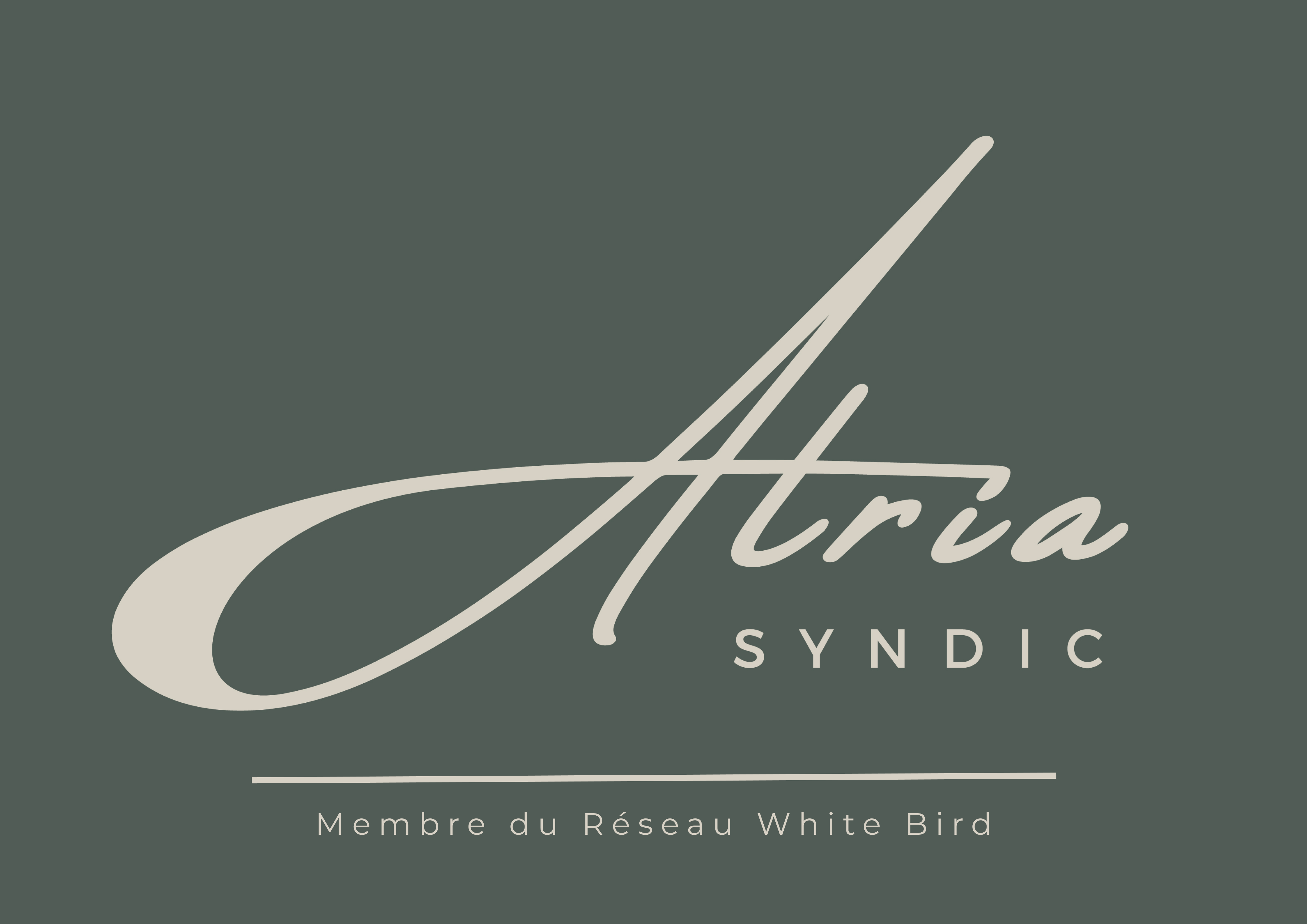 Logo x WB fond vert