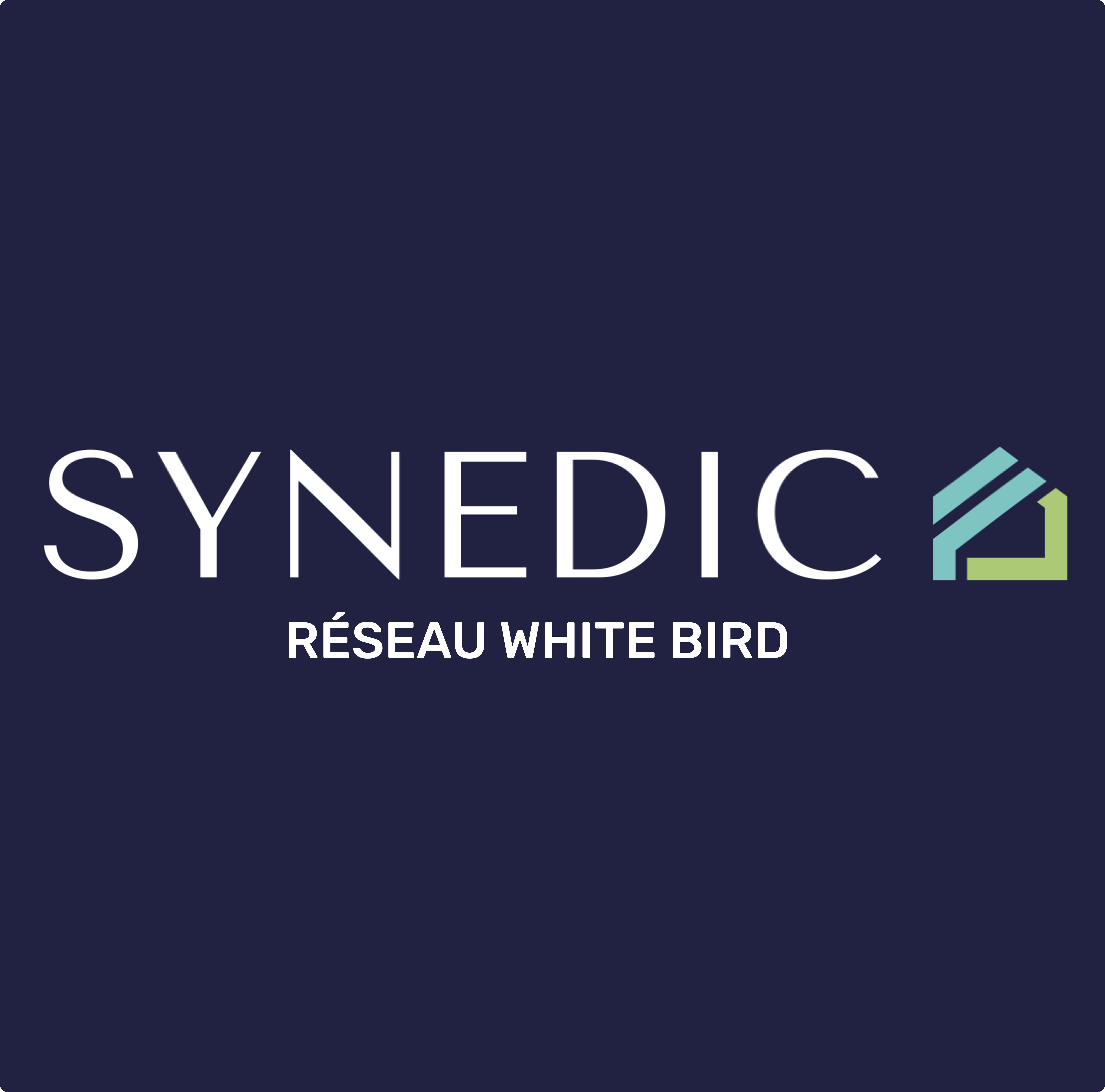 logo-synedic